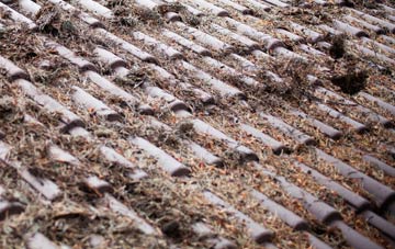 Adwick Upon Dearne roof cleaning companies