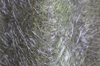 Adwick Upon Dearne fibreglass roof work